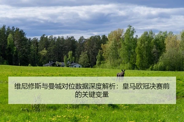 wei-ni-xiu-si-yu-man-cheng-dui-wei-shu-ju-shen-du-jie-xi-huang-ma-ou-guan-jue-sai-qian-de-guan-jian-bian-liang-2-153.jpg