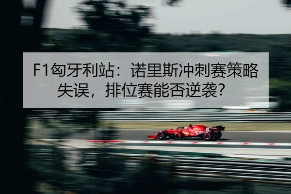 xiong-ya-li-zhan-nuo-li-si-chong-ci-sai-ce-lve-shi-wu-pai-wei-sai-neng-fou-ni-xi-2-401.jpg