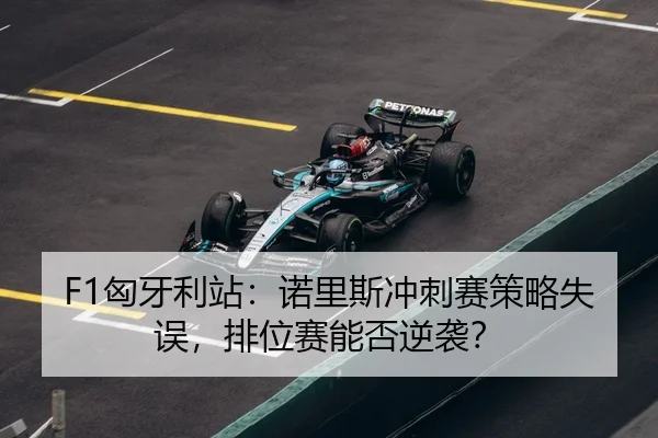 xiong-ya-li-zhan-nuo-li-si-chong-ci-sai-ce-lve-shi-wu-pai-wei-sai-neng-fou-ni-xi-3-594.jpg