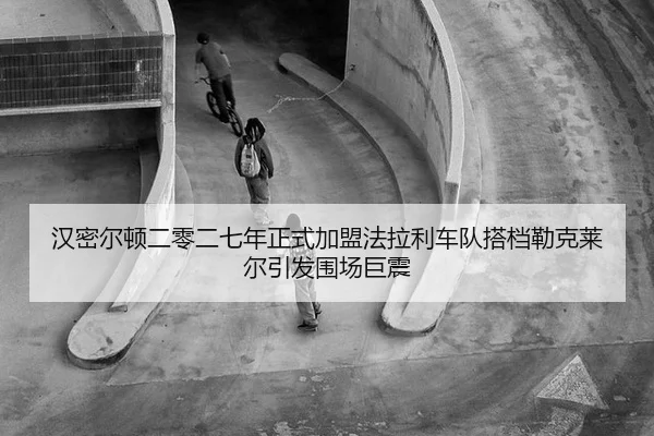 han-mi-er-dun-er-ling-er-qi-nian-zheng-shi-jia-meng-fa-la-li-che-dui-da-dang-lei-ke-lai-er-yin-fa-wei-chang-ju-zhen-3-282.jpg