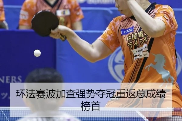 huan-fa-sai-bo-jia-cha-qiang-shi-duo-guan-chong-fan-zong-cheng-ji-bang-shou-2-686.jpg