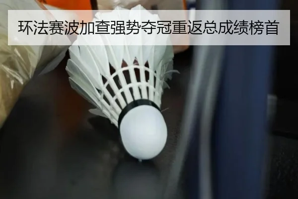 huan-fa-sai-bo-jia-cha-qiang-shi-duo-guan-chong-fan-zong-cheng-ji-bang-shou-3-680.jpg