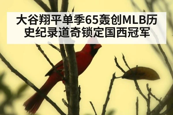 大谷翔平单季65轰创MLB历史纪录道奇锁定国西冠军
