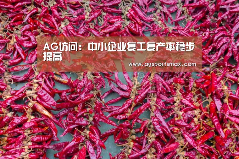 AG访问：中小企业复工复产率稳步提高